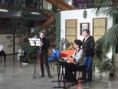 /album/oroshazi-liszt-ferenc-alapfoku-muveszeti-iskola-hangszerbemutatoja/hangszerbemutato2015-7-jpg/